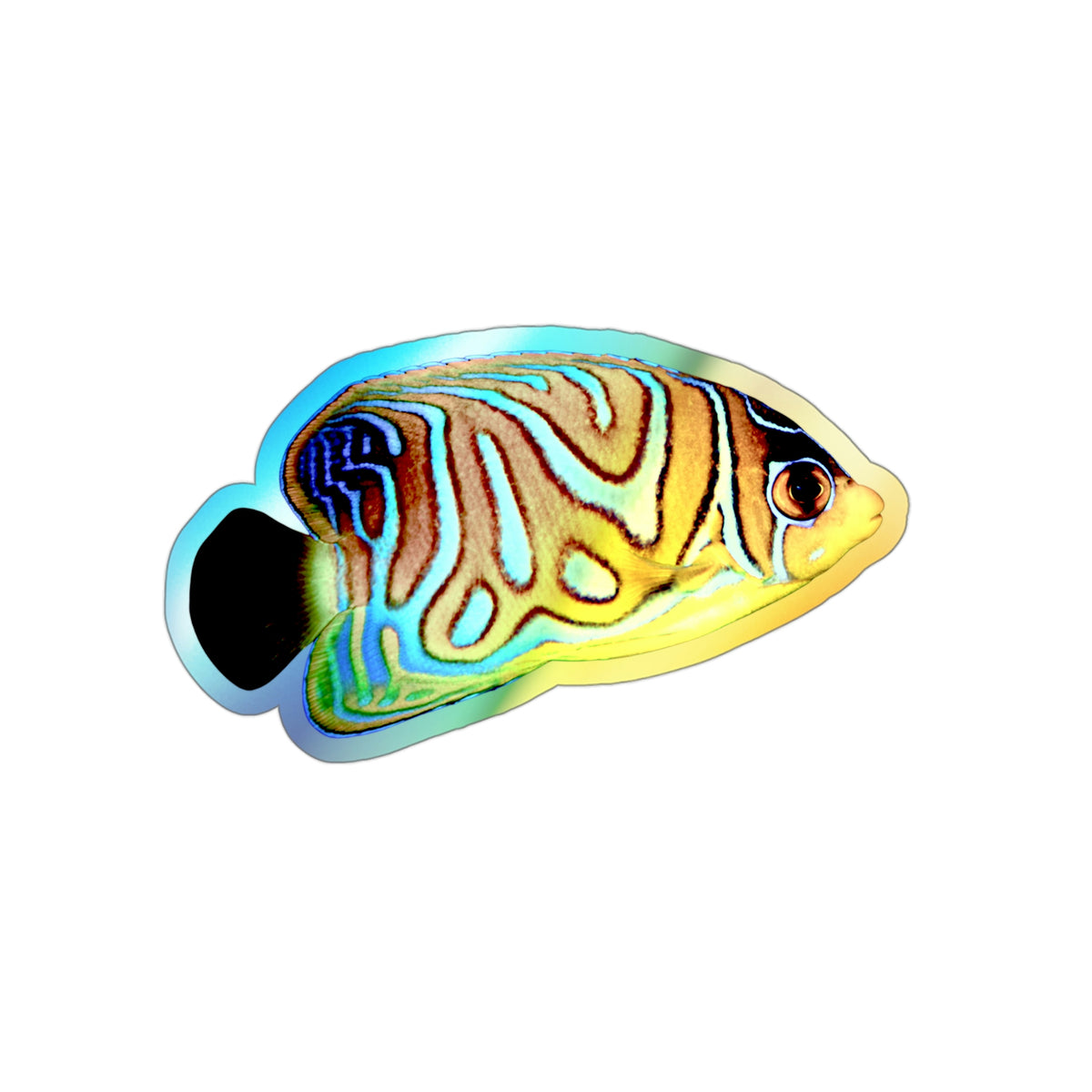 Regal Angelfish Holographic Die-cut Sticker