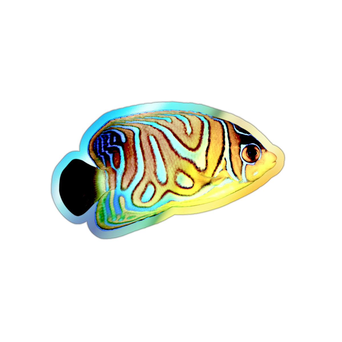 Regal Angelfish Holographic Die-cut Sticker