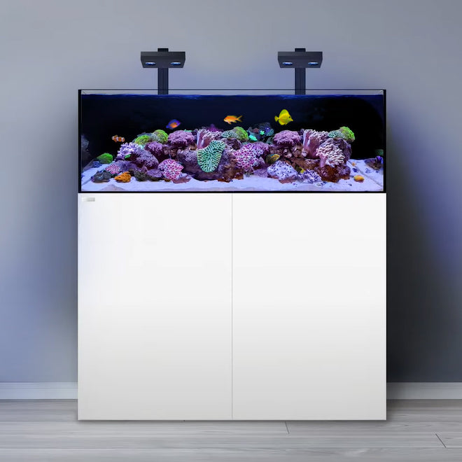 Biota Aquarium Kit 2.0 - Lau&#39;ipala Reef Tank