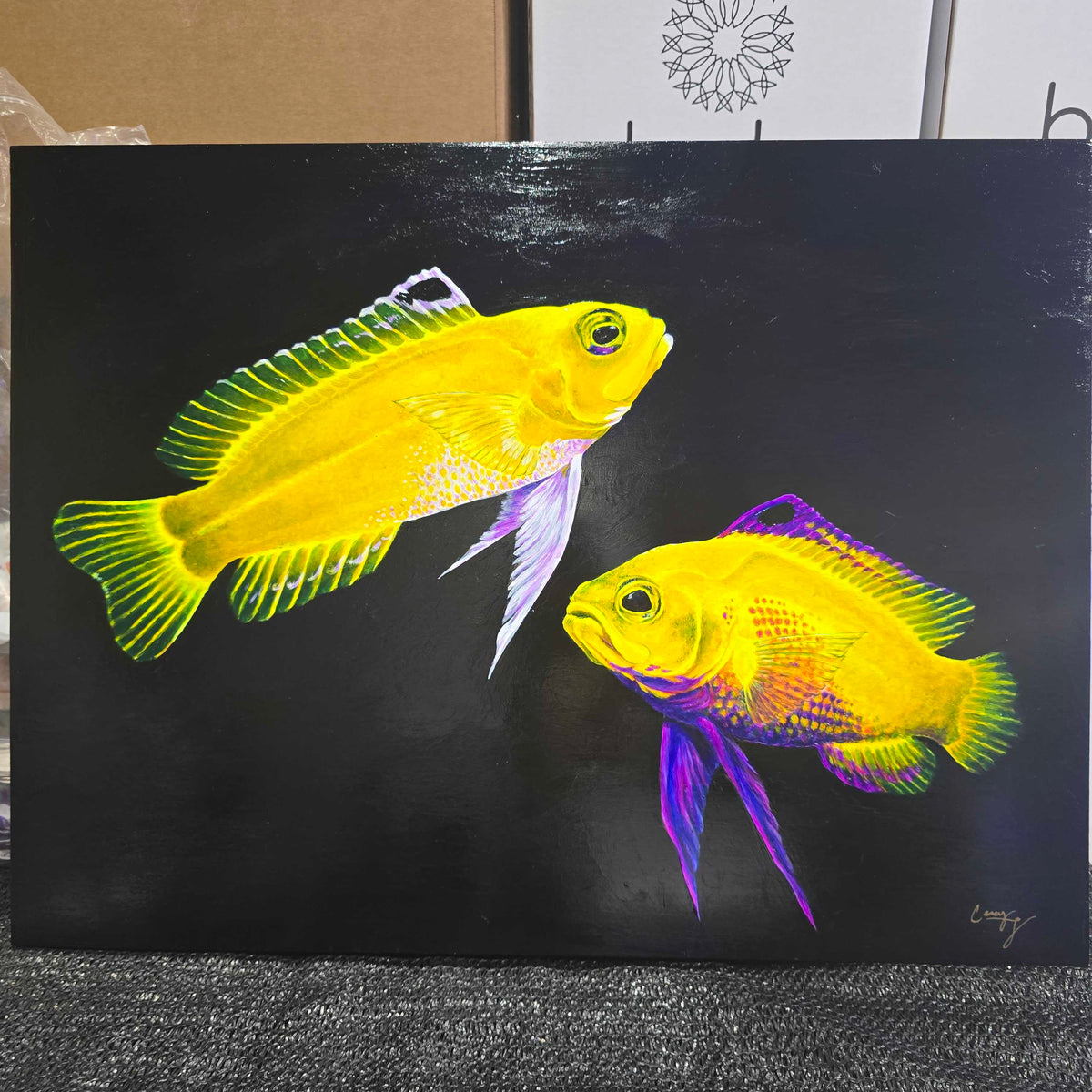 Biota Series Fluorescent Paintings by Casey Gallagher (@BluDragonArtDesign) each