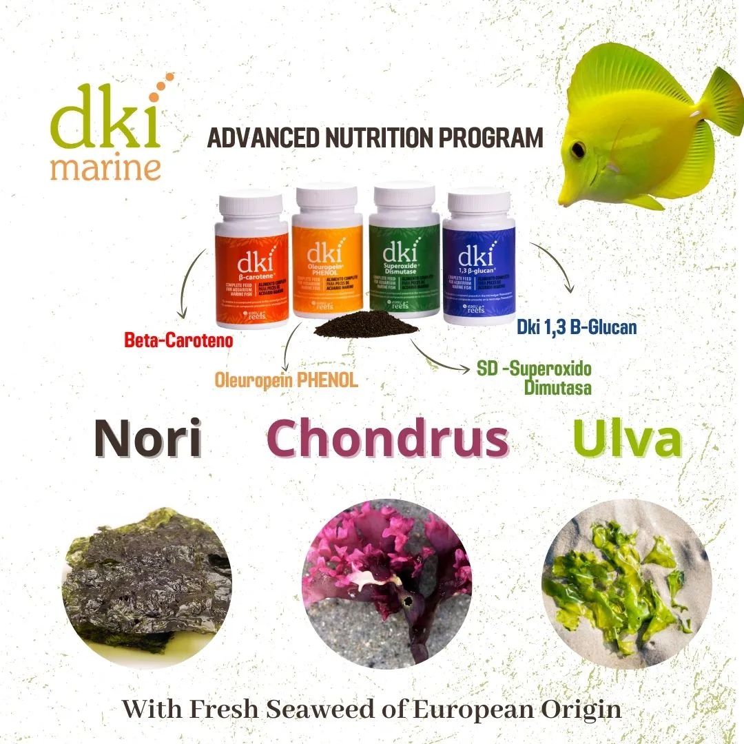 NEW Easy Reefs DKI 1,3 β-glucan Fish Care pellet food