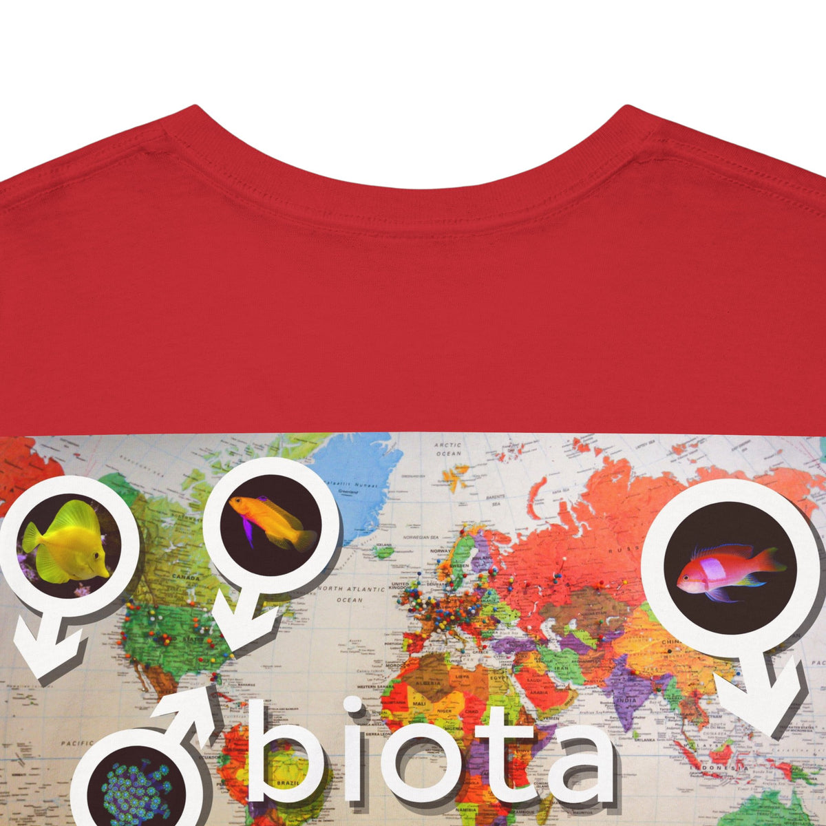 Biota Map Heavy Cotton Tee