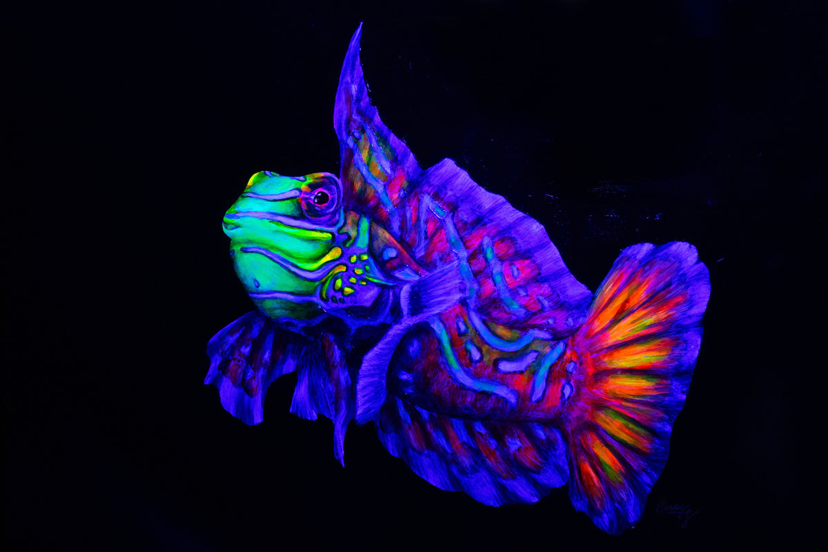 Biota Series Fluorescent Paintings by Casey Gallagher (@BluDragonArtDesign) each