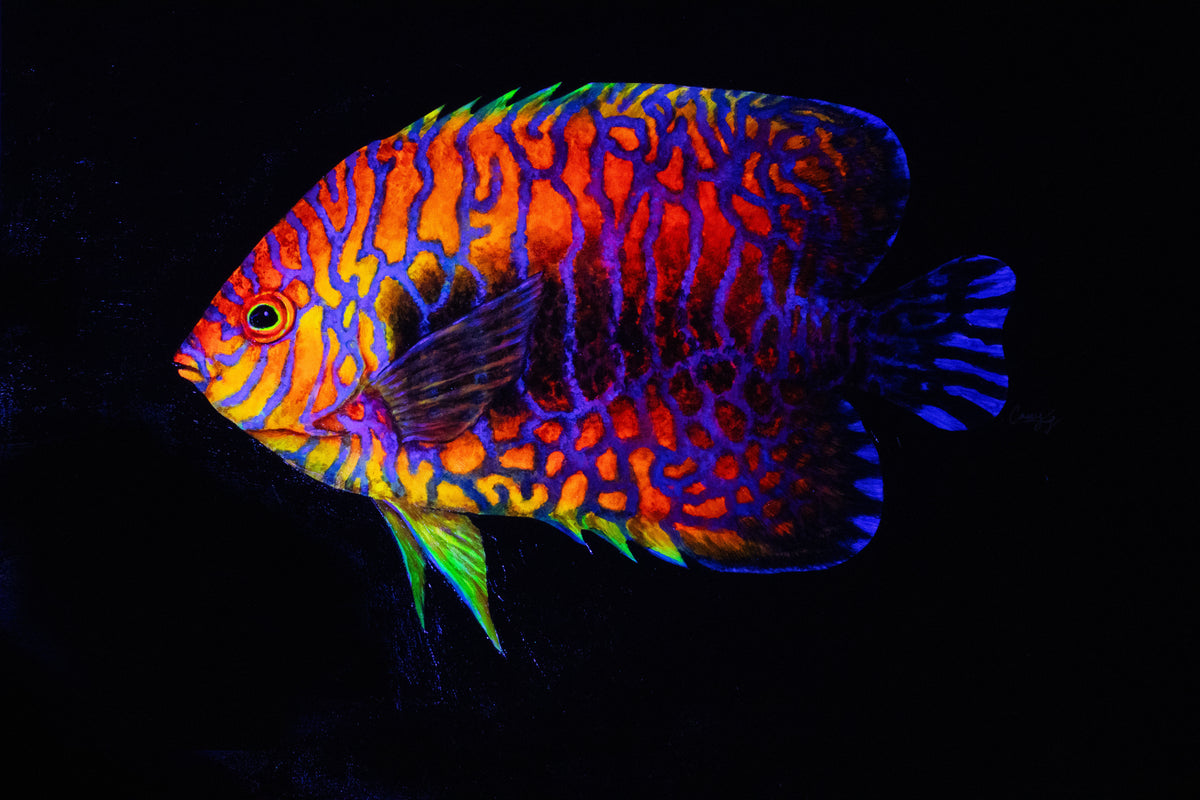 Biota Series Fluorescent Paintings by Casey Gallagher (@BluDragonArtDesign) each