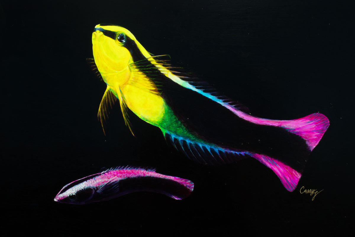 Biota Series Fluorescent Paintings by Casey Gallagher (@BluDragonArtDesign) each