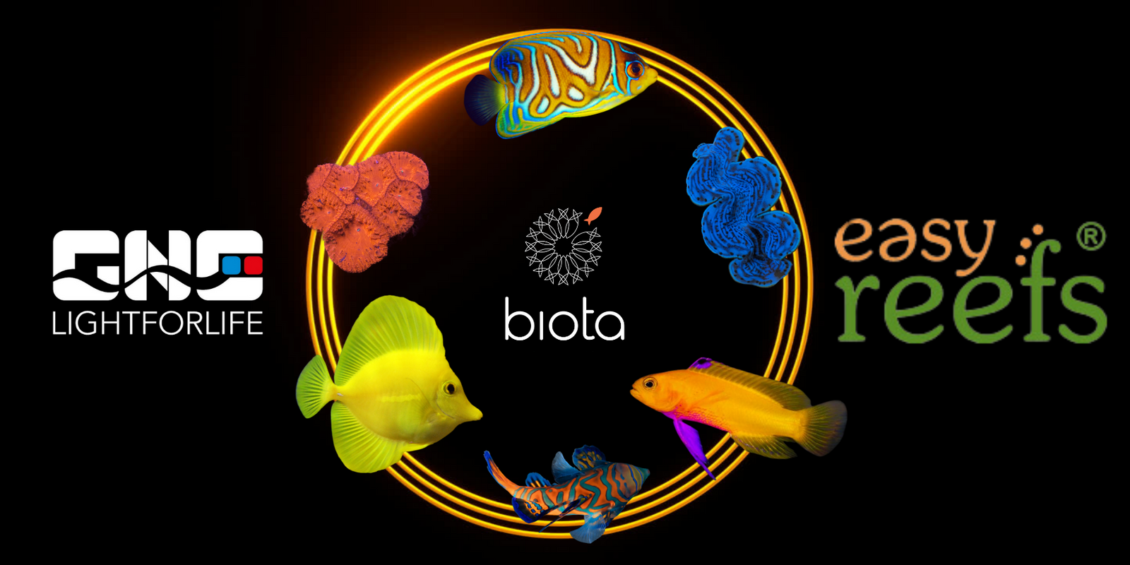 The Biota Group