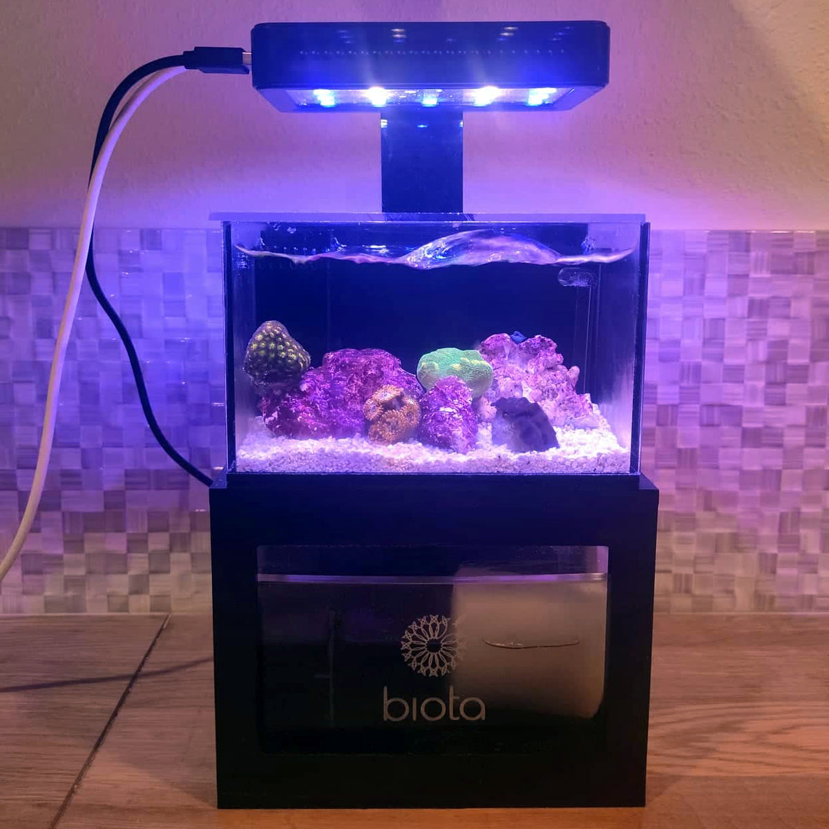 Biota Custom Micro Reef-Ready Tank 40oz Desktop Aquarium - with livestock