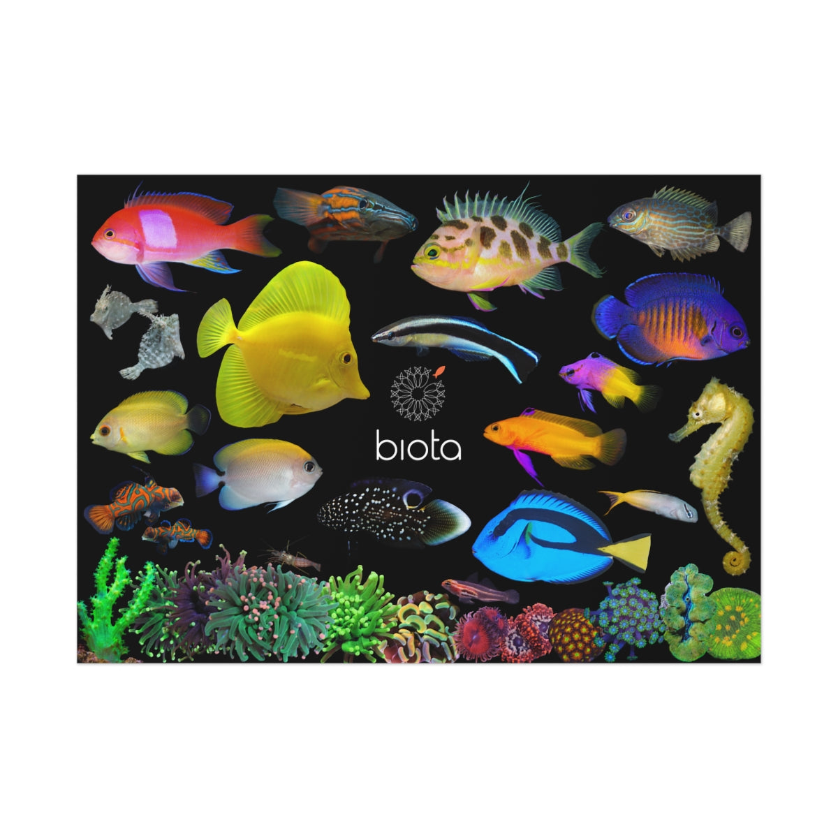 Biota Uncoated Posters