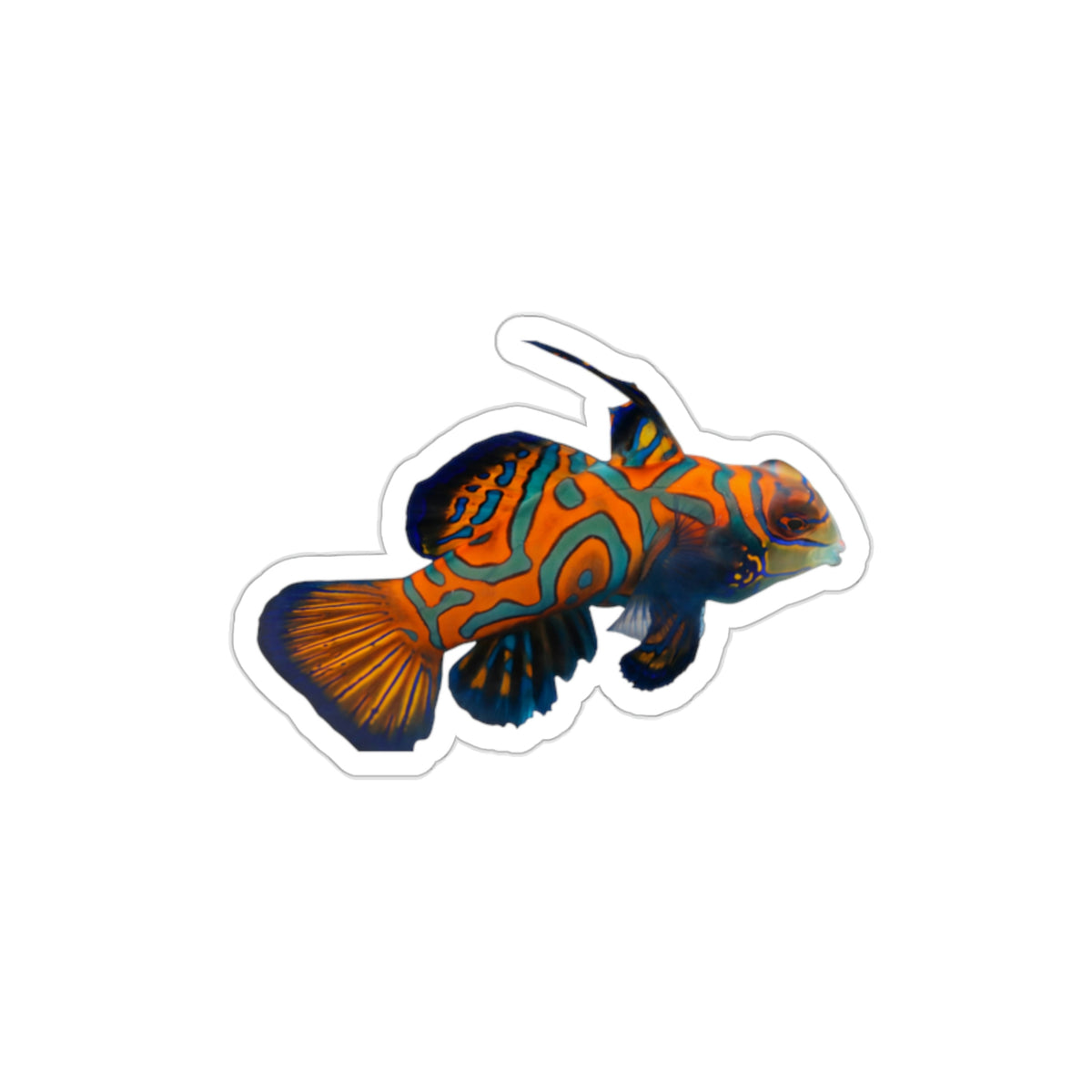 Mandarin Fish Die-Cut Stickers